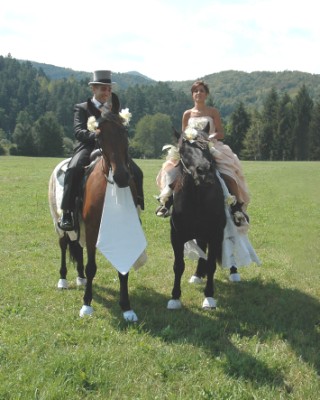 cavallo per matrimoni