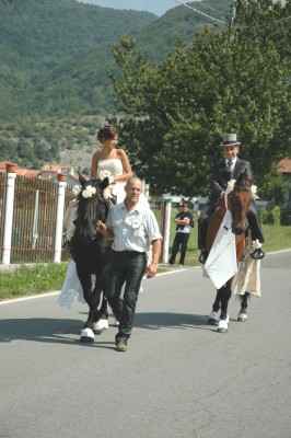 passeggiate a cavallo