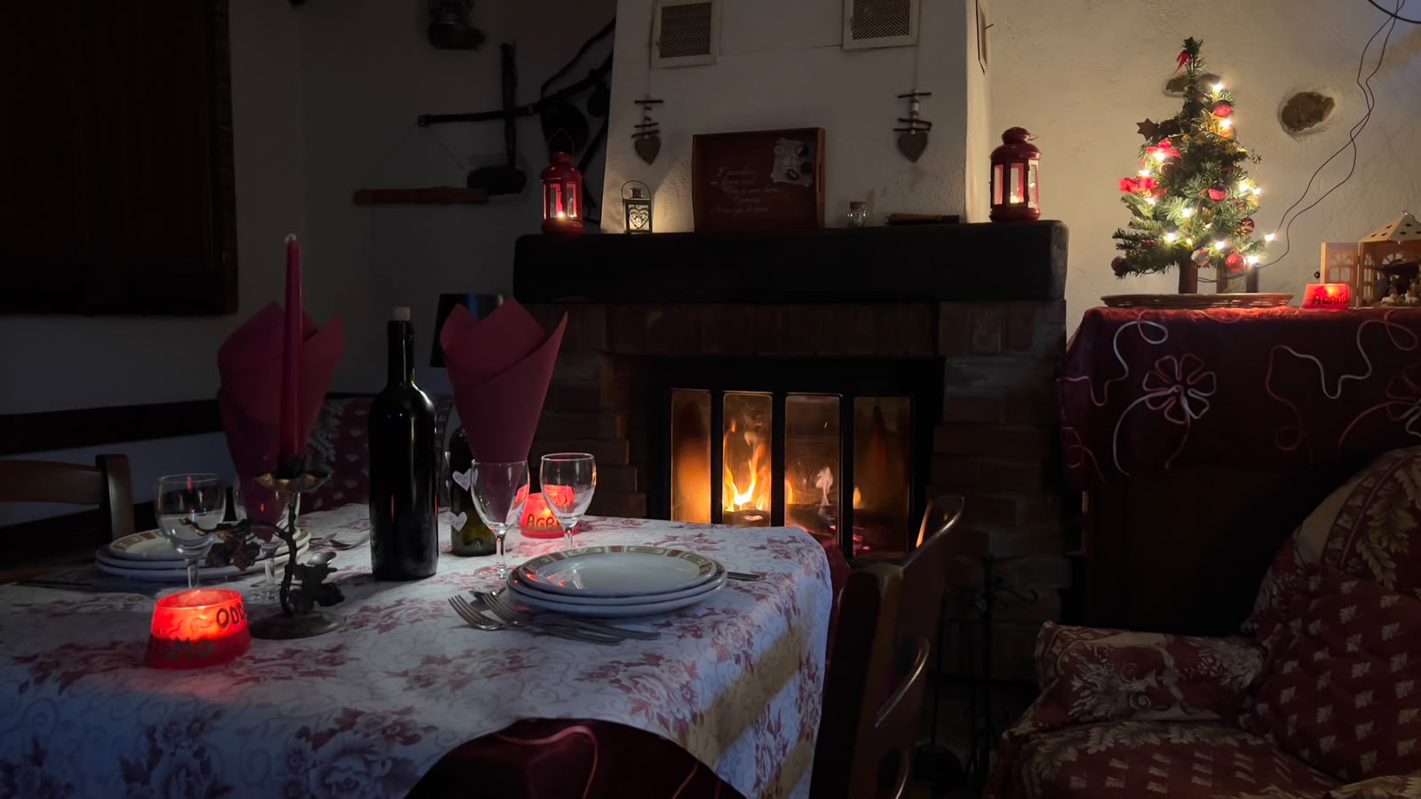 Tulipano: dettaglio dell'alloggio